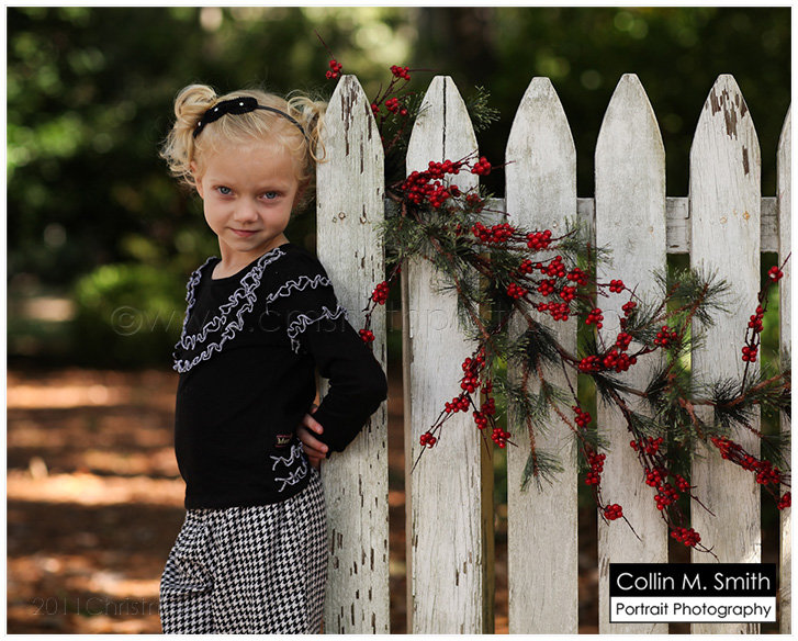 2011ChristmasSets_00037fb